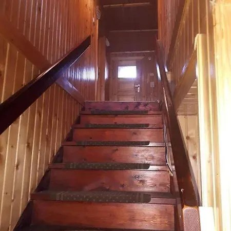 Aura Câmpulung Moldovenesc