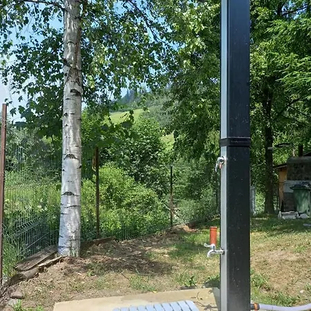 Aura * Câmpulung Moldovenesc