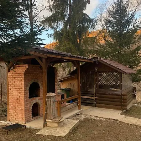 Aura Câmpulung Moldovenesc
